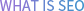 WHAT IS SEO